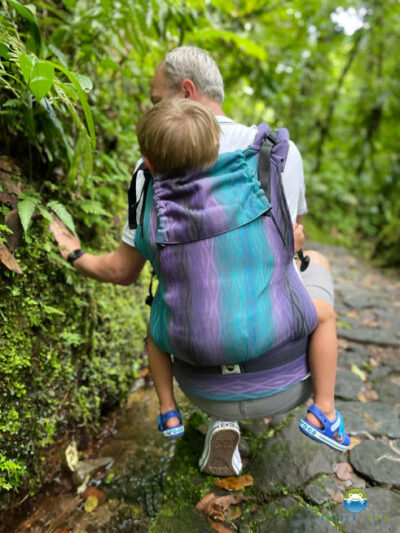 XL Toddler de Little Frog – Image 4